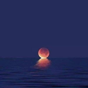 Meet your Posher, Prabha